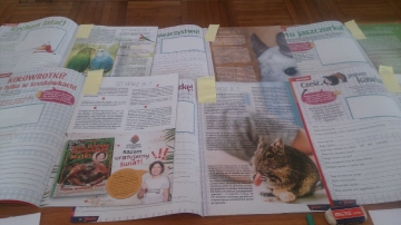 Mój przyjaciel zwierzak